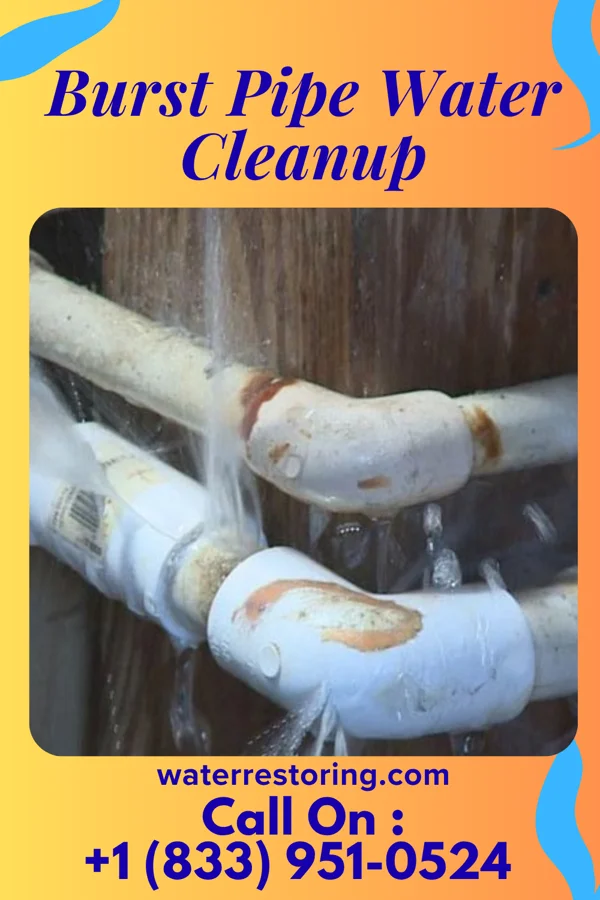 Burst Pipe Water Cleanup in Campbellsburg, IN