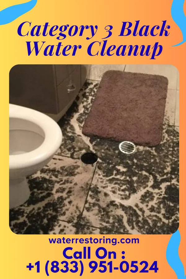 Category 3 Black Water Cleanup in Campbellsburg, IN