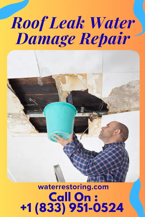 Roof Leak Water Damage Repair in Campbellsburg, IN